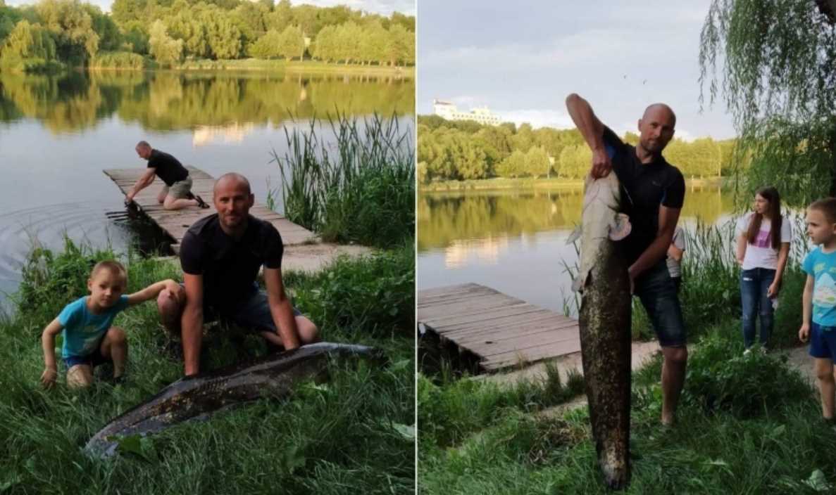 Як величезний сом опинився у штучній водоймі посеред Чернівців