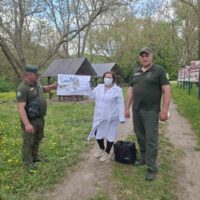 На Сокирянщині розпочалась робота з пероральної імунізації диких м’ясоїдних тварин від сказу