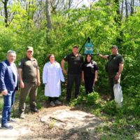 На Сокирянщині розпочалась робота з пероральної імунізації диких м’ясоїдних тварин від сказу