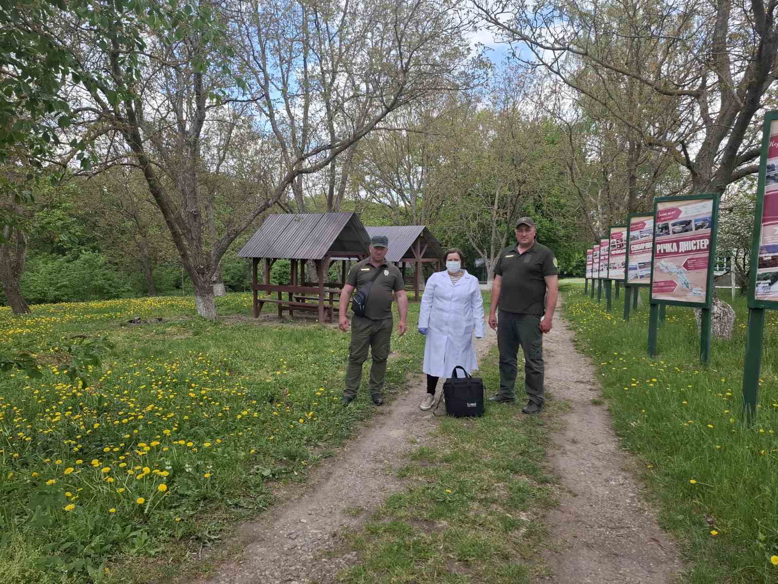 На Сокирянщині розпочалась робота з пероральної імунізації диких м’ясоїдних тварин від сказу