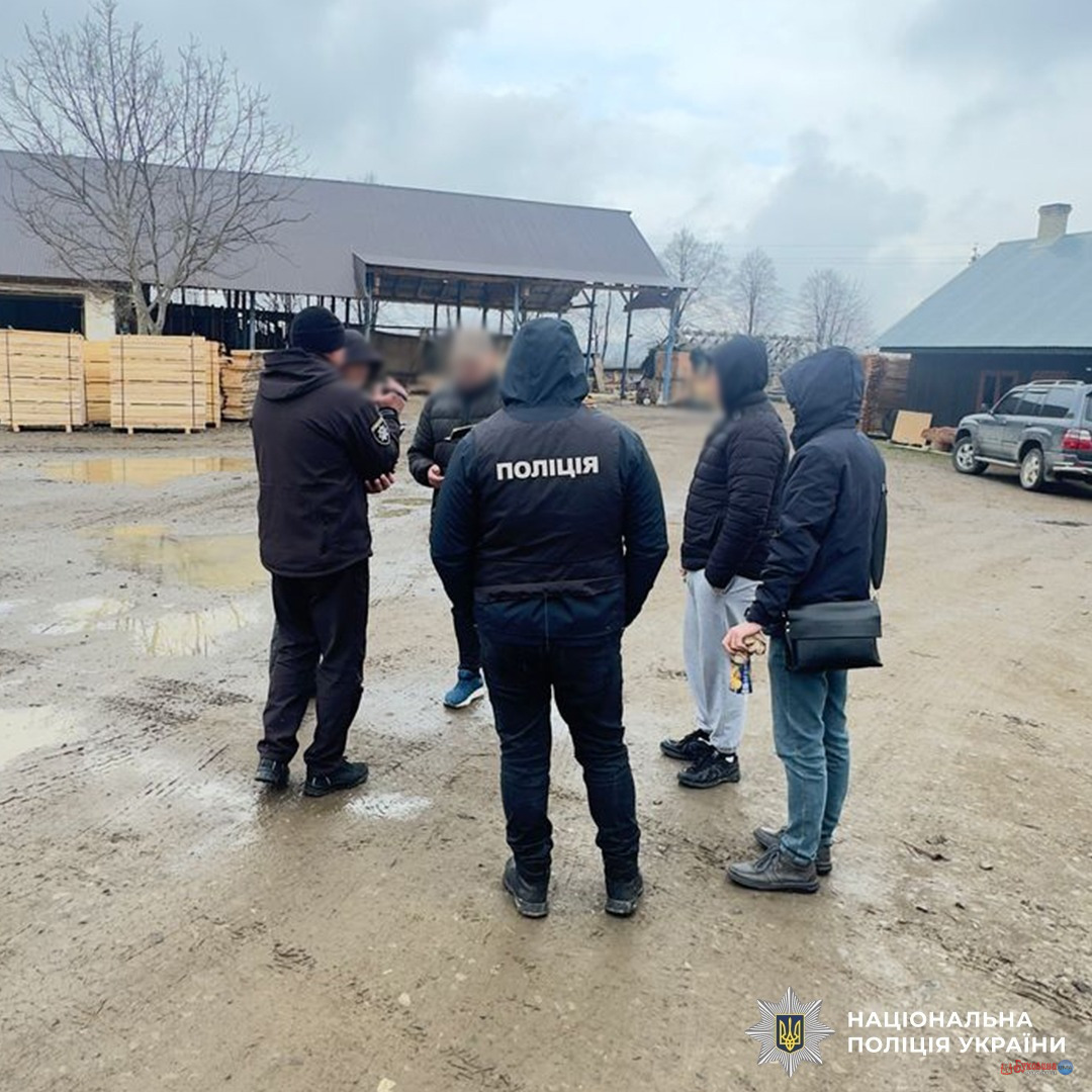 Незаконна вирубка на десятки мільйонів: на Буковині підозру оголосили майстру лісу